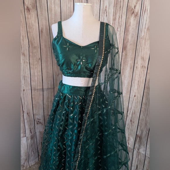 Elegant Emerald Green Lehenga Choli Set - Picture 5 of 14